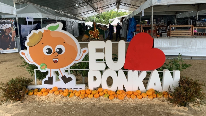 Festa Nacional da Ponkan 2025